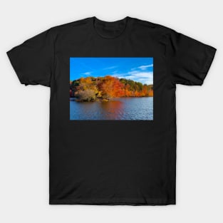 Little Mulberry Park at Miller Lake T-Shirt